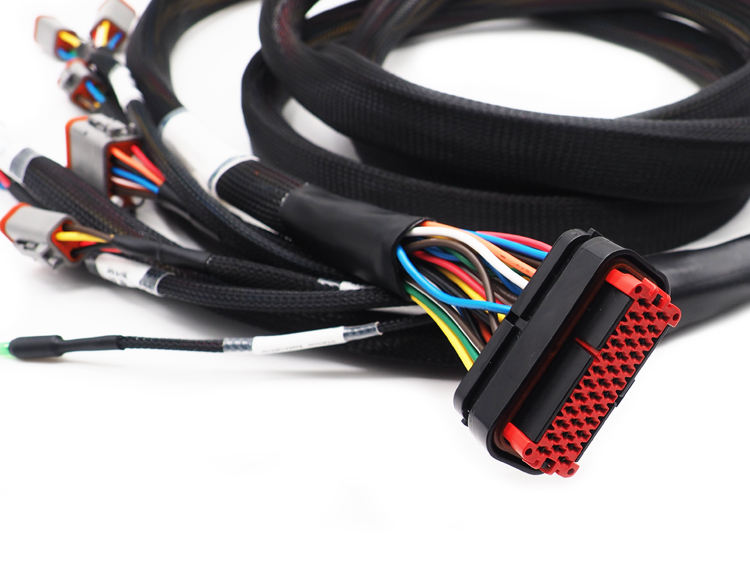 1718614275993991.jpg Main-04.jpg